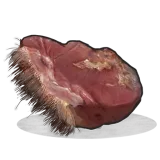 Raw Bear Meat