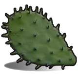 Cactus Flesh