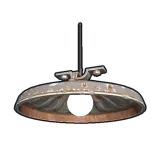 Ceiling Light