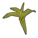 Corn Clone