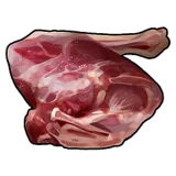Raw Deer Meat