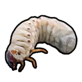 Grub