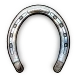 High Quality Horse Shoes