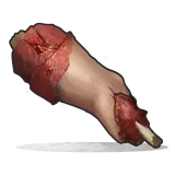 Raw Human Meat