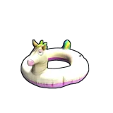 Inner Tube