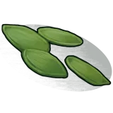 Hemp Seed