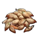 Rose Seed