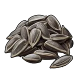 Sunflower Seed
