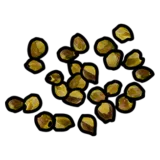 Yellow Berry Seed