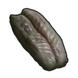 Spoiled Snake Meat