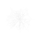 Spider Webs