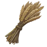 Wheat